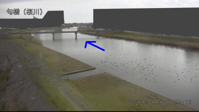 nioi2026011912_image