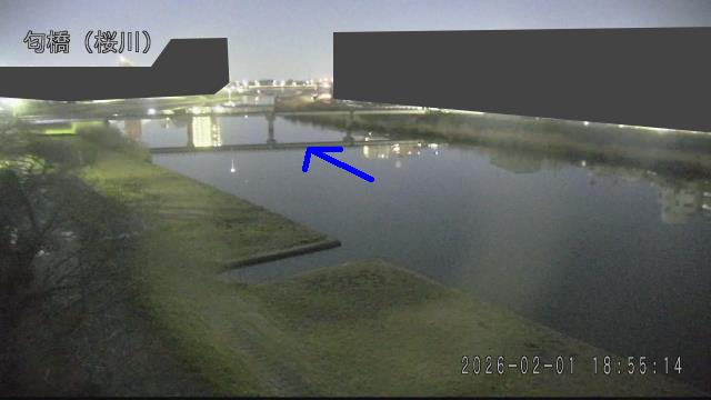 nioi2026020119_image