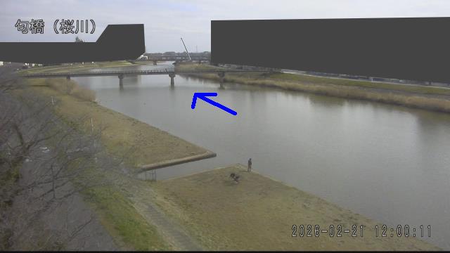 nioi2026022112_image