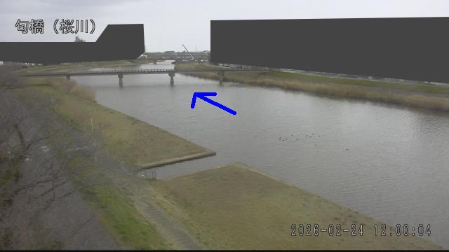 nioi2026022412_image