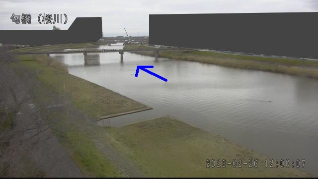 nioi2026022612_image