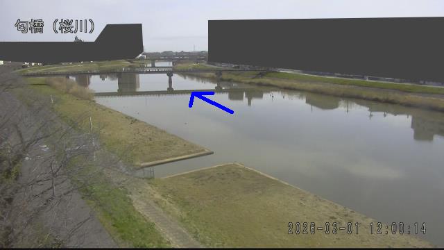 nioi2026030112_image