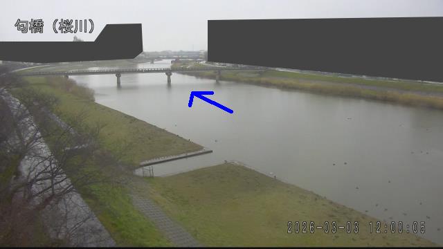 nioi2026030312_image