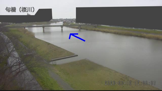 nioi2026031012_image