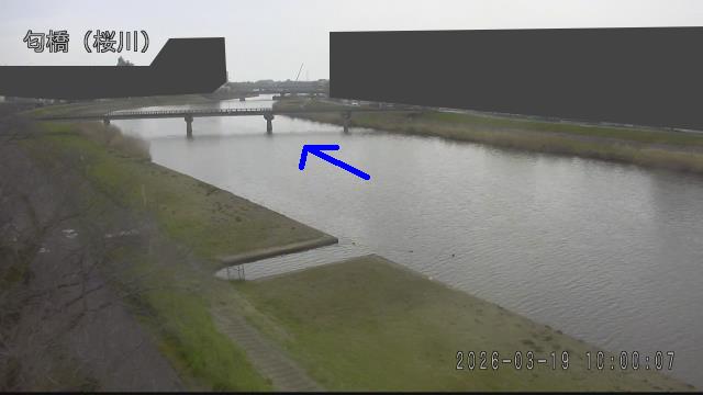 nioi2026031910_image