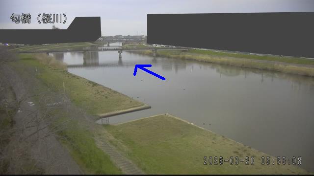 nioi2026032006_image