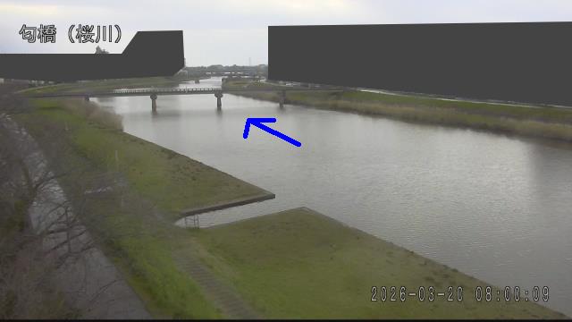 nioi2026032008_image