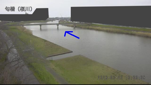 nioi2026032010_image