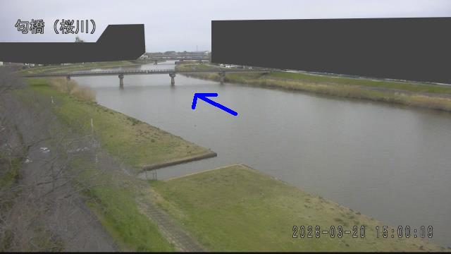 nioi2026032015_image