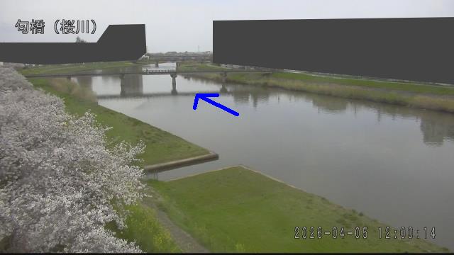 nioi2026040512_image