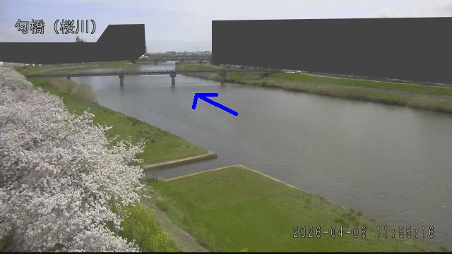 nioi2026040612_image