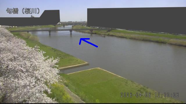 nioi2026040812_image