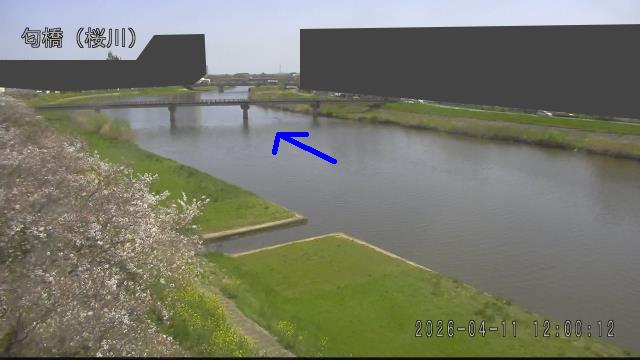 nioi2026041112_image
