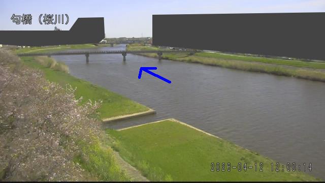 nioi2026041212_image