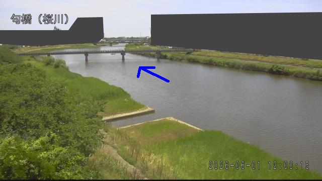 nioi2026060112_image