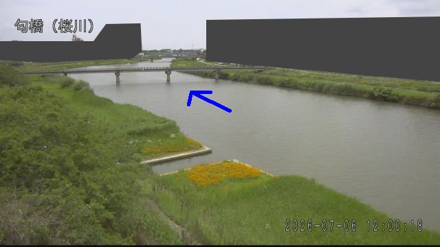 nioi2026070612_image
