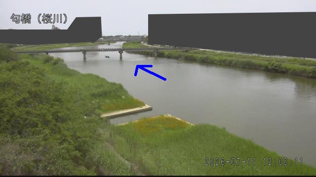 nioi2026071112_image