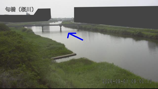 nioi2026080108_image