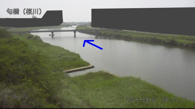 nioi2026080109_image