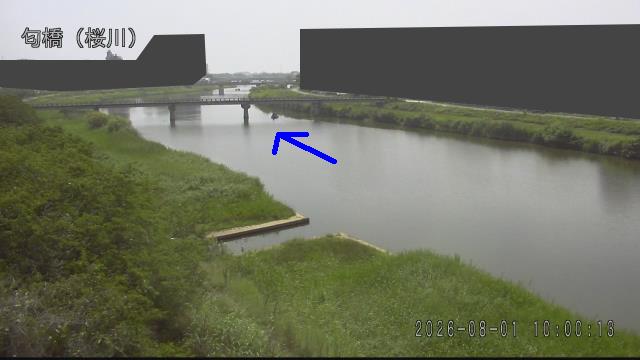 nioi2026080110_image