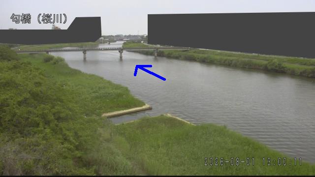 nioi2026080113_image