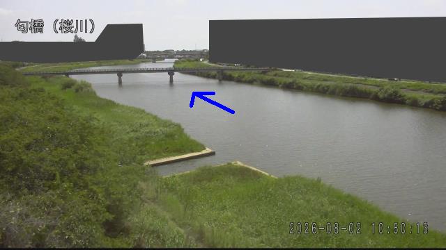 nioi2026080211_image