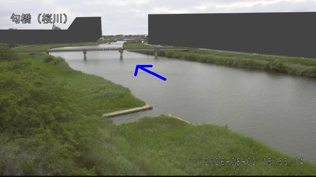nioi2026080216_image