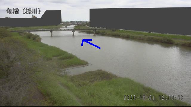 nioi2026100112_image