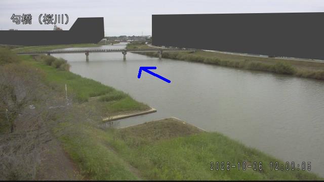 nioi2026100612_image
