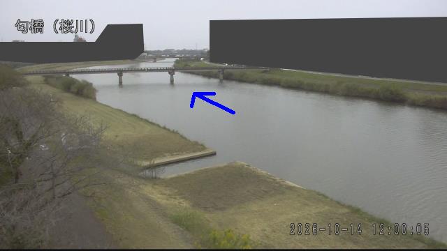 nioi2026101412_image