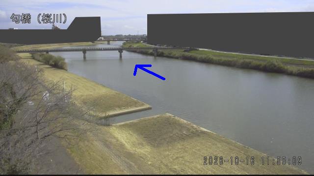nioi2026101612_image