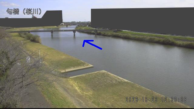 nioi2026102312_image