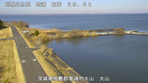 ooyama2026011012_image