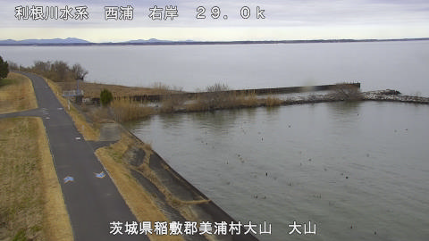 ooyama2026012012_image