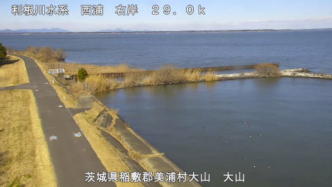 ooyama2026012312_image