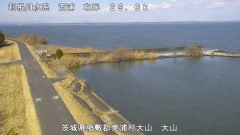 ooyama2026012512_image