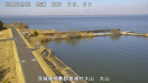 ooyama2026020113_image