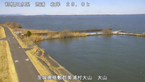 ooyama2026021912_image