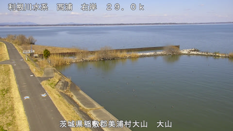 ooyama2026031112_image