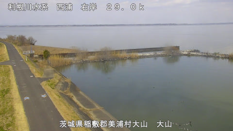 ooyama2026031712_image