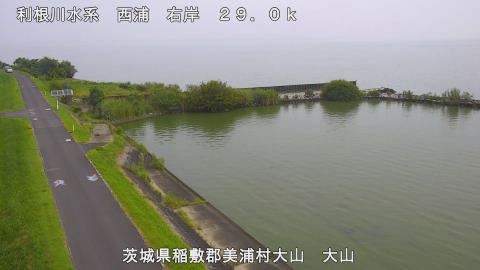 ooyama2026080109_image