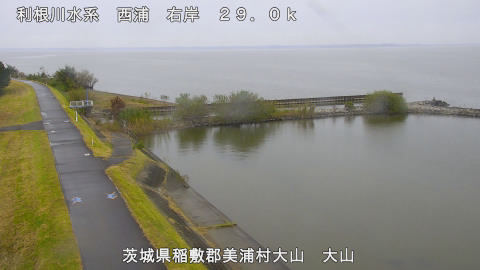 ooyama2026102410_image