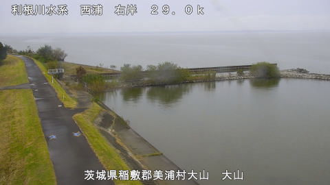 ooyama2026102411_image