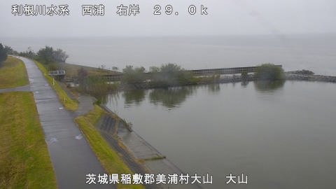 ooyama2026102415_image