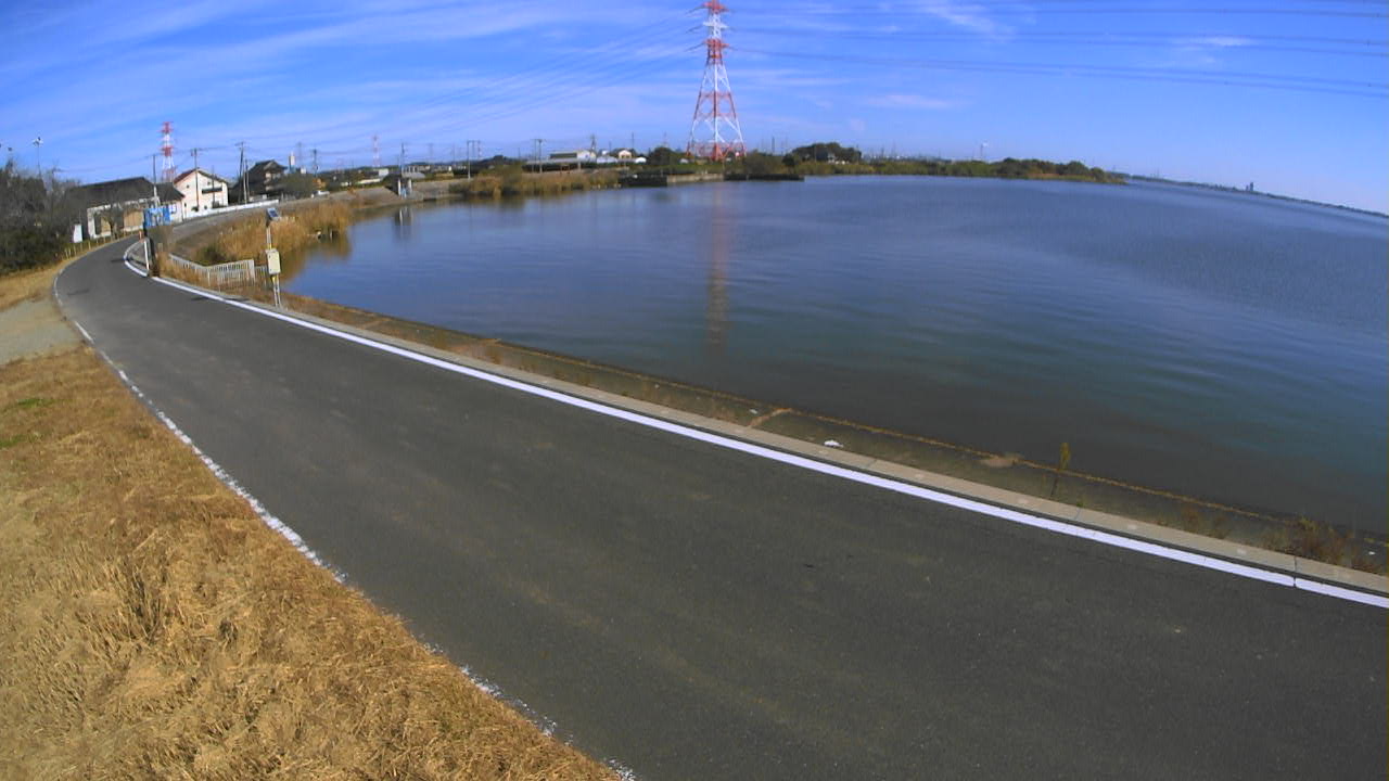 sakaura2025112412_image