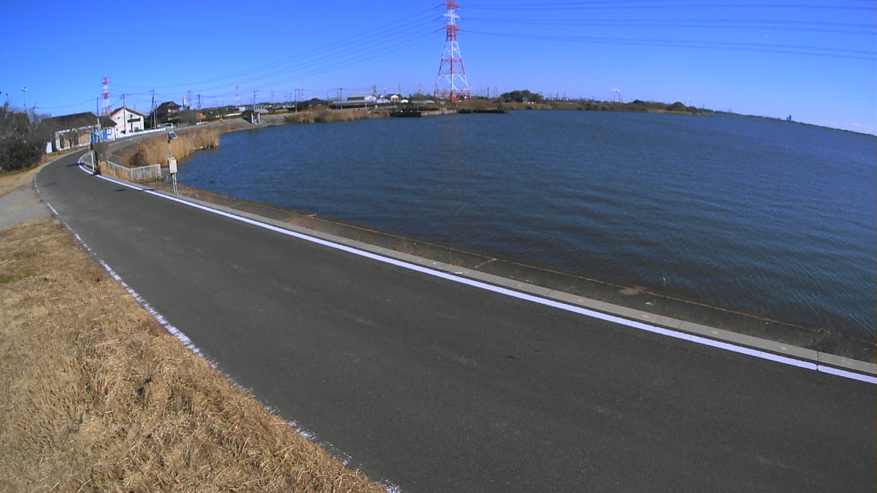 sakaura2026011212_image