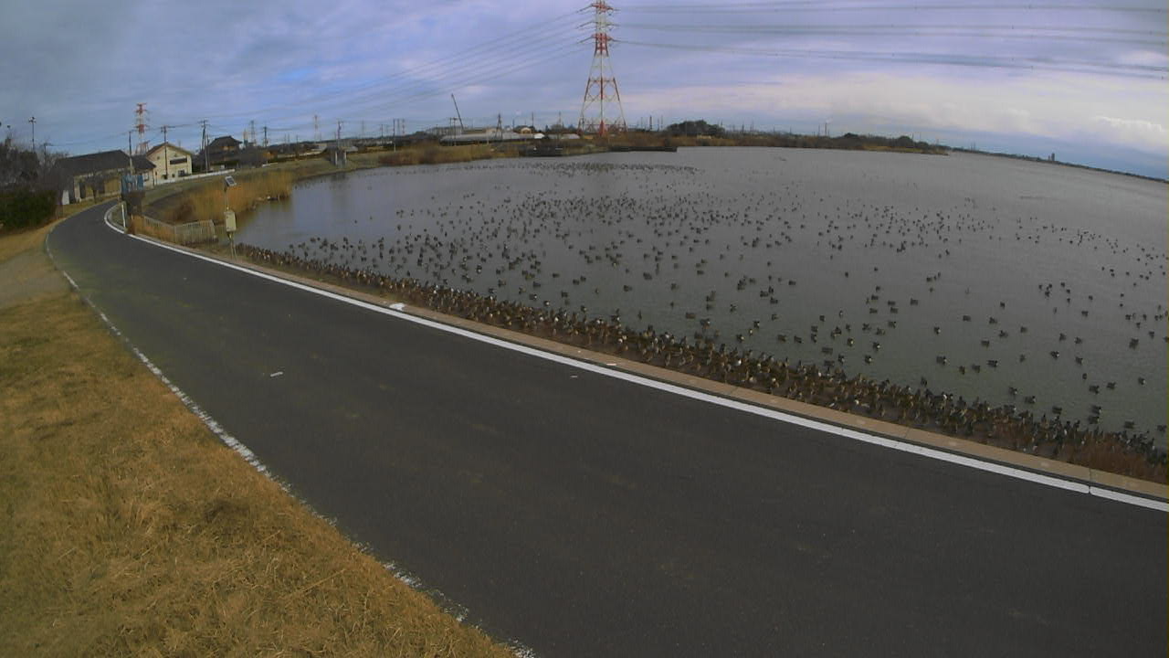 sakaura2026012112_image