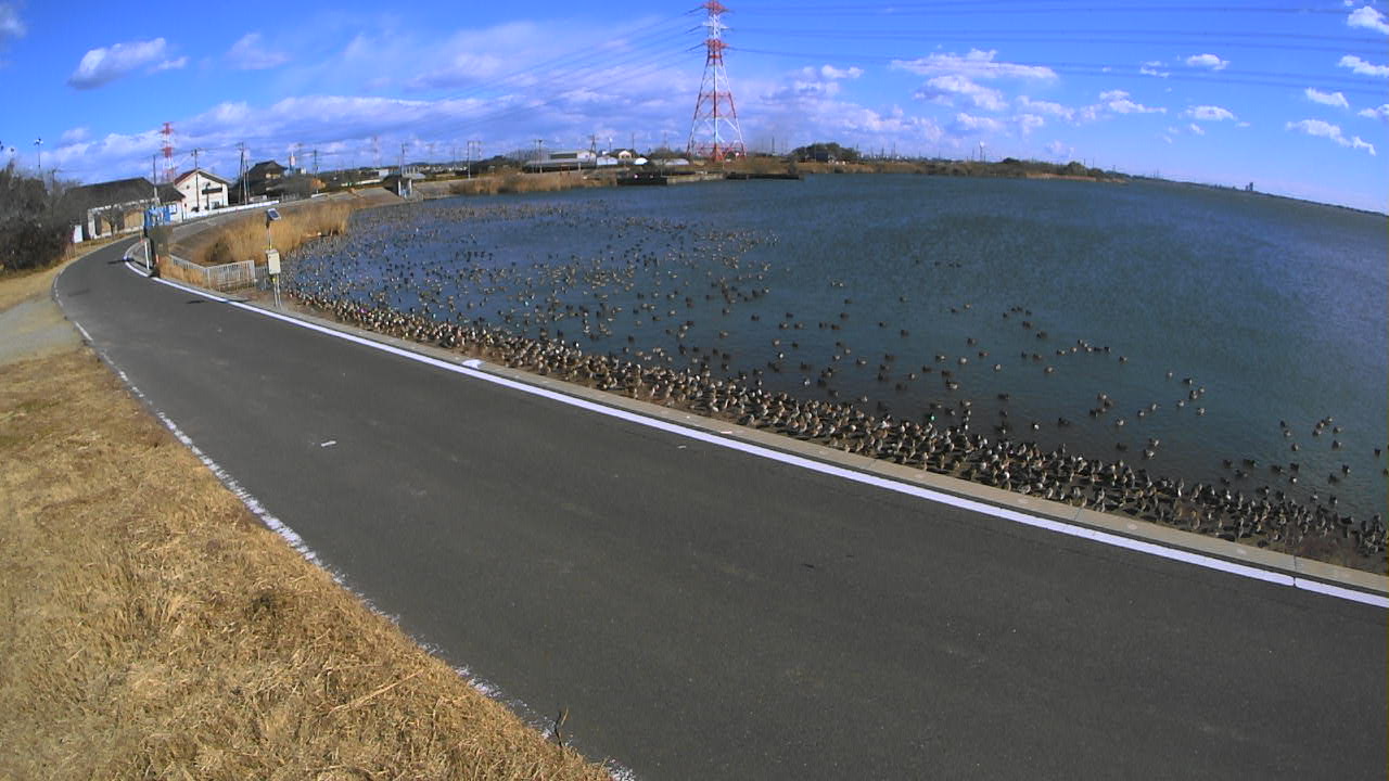 sakaura2026012212_image