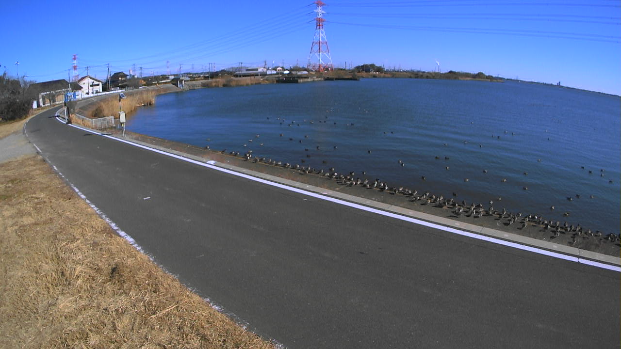 sakaura2026012312_image