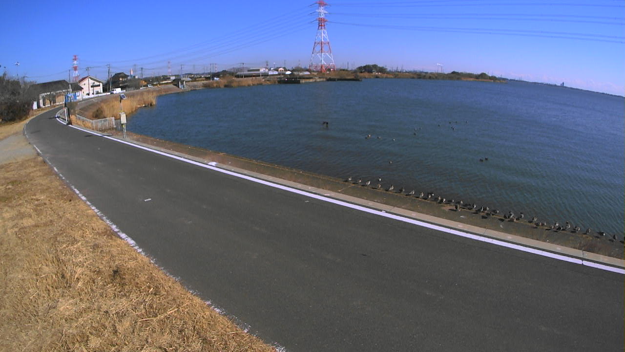 sakaura2026012412_image